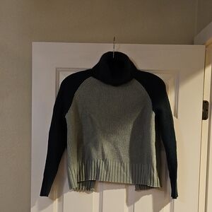 Madewell Green and Gray Turtleneck Sweater